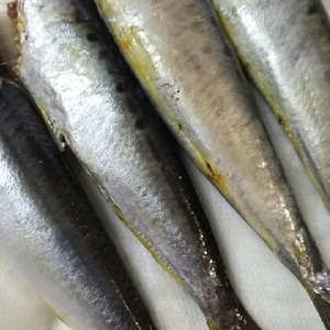 超簡単 片口いわし 小さい鰯の内臓のとり方 レシピ 作り方 By 9 10 楽天レシピ 超簡単 片口いわし 小さい鰯の内臓のとり方 レシピ 作り方 By 9 10 楽天レシピ
